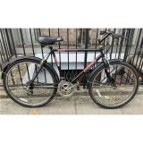 Marlboro Mountain Bike